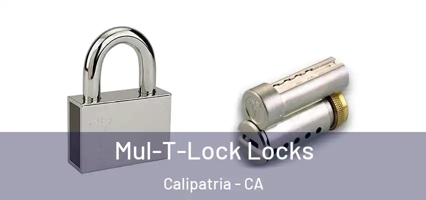  Mul-T-Lock Locks Calipatria - CA
